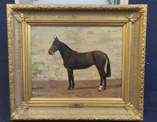 § Frances Mabel Hollams (1877-1963) Portrait of a horse, Just Fancy 16 x 20in.